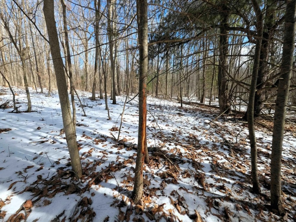 15 acres Recreational Land and Hunting Land in Corning NY Markle Hollow Rd featured image