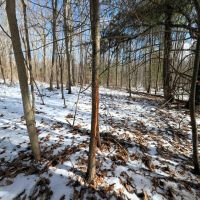 15 acres Recreational Land and Hunting Land in Corning NY Markle Hollow Rd