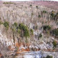 15 acres Recreational Land and Hunting Land in Corning NY Markle Hollow Rd images 4