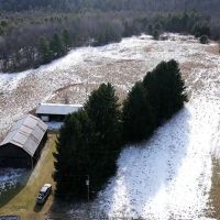 98 acres Hunting and Recreational Property with Large Barns and Stream in Corning NY 3539 Markle Hollow Rd images 2