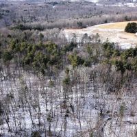 98 acres Hunting and Recreational Property with Large Barns and Stream in Corning NY 3539 Markle Hollow Rd images 4