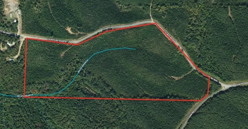 49.5 - ac all wooded with long paved frontage featured image