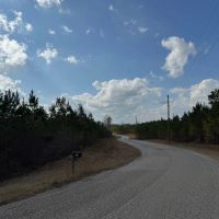 49.5 - ac all wooded with long paved frontage images 2