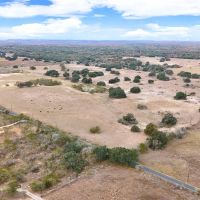 POTEET Tract 3 12 Acres Only 15K Down images 2