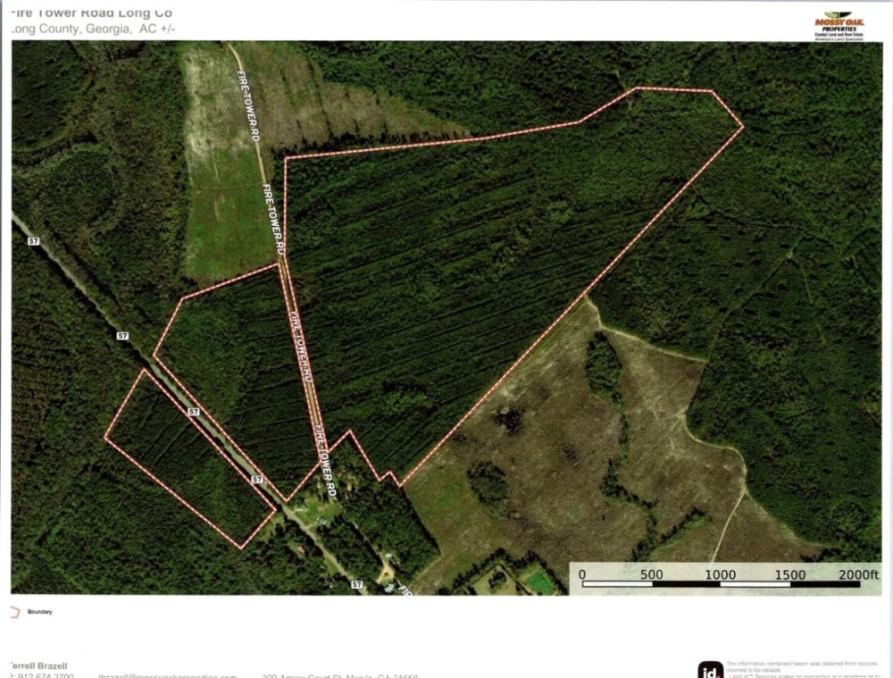 Fire Tower Rd Long Co Timber and recreation featured image