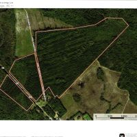 Fire Tower Rd Long Co Timber and recreation