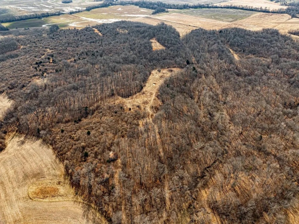 Premier hunting farm in South Central IL featured image