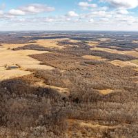Premier hunting farm in South Central IL images 3