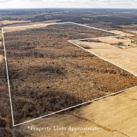 Premier hunting farm in South Central IL images 4