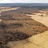 Premier hunting farm in South Central IL images 5