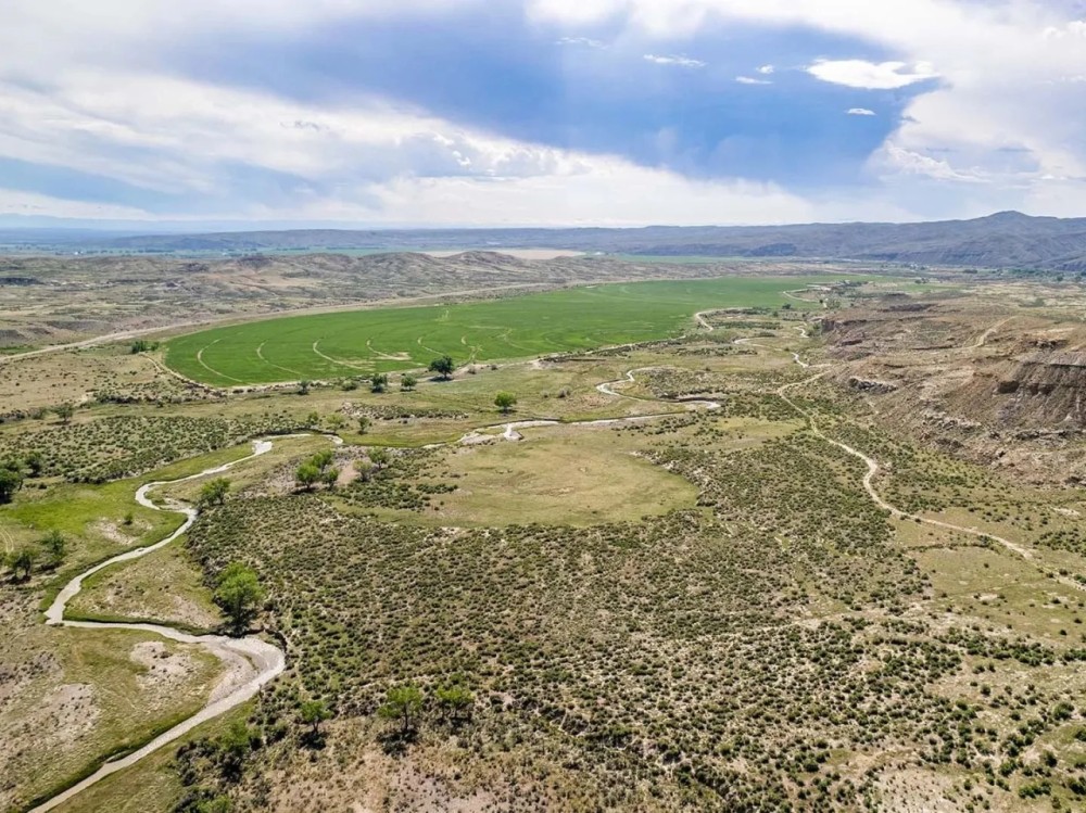 Butterfield Farm amp Livestock featured image