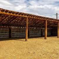 Butterfield Farm amp Livestock images 5