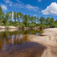 Riverfront Haven on Alapaha River images 4