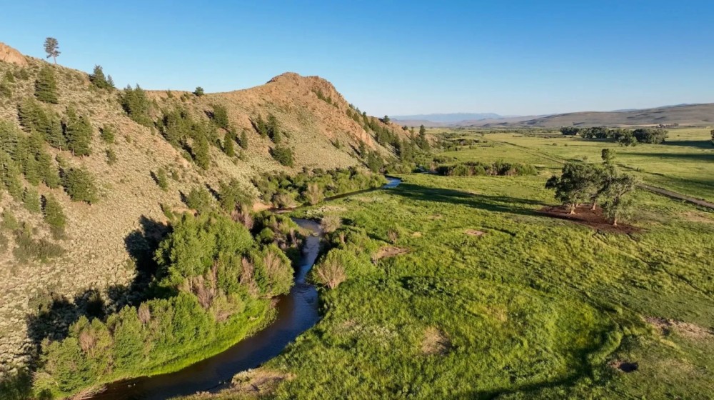 Tomichi Creek Farm Ranch featured image