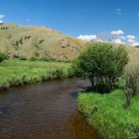 Tomichi Creek Farm Ranch images 2