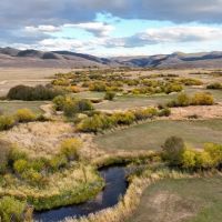 Tomichi Creek Farm Ranch images 5