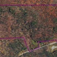 114 acres Hunting Land and Recreational Land in Corning NY Markle Hollow Rd images 2