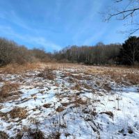 114 acres Hunting Land and Recreational Land in Corning NY Markle Hollow Rd images 3