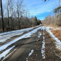 114 acres Hunting Land and Recreational Land in Corning NY Markle Hollow Rd images 4