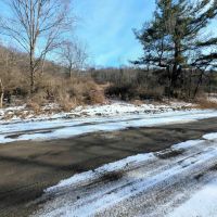 114 acres Hunting Land and Recreational Land in Corning NY Markle Hollow Rd images 5