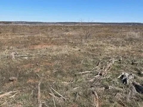 New Listing 25 Acres Taylor County featured image
