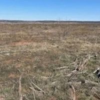 New Listing 25 Acres Taylor County images 1