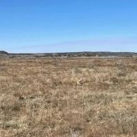 New Listing 25 Acres Taylor County images 2