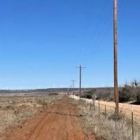 New Listing 25 Acres Taylor County images 3
