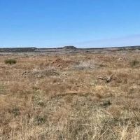 New Listing 25 Acres Taylor County images 4