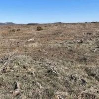 New Listing 25 Acres Taylor County images 5