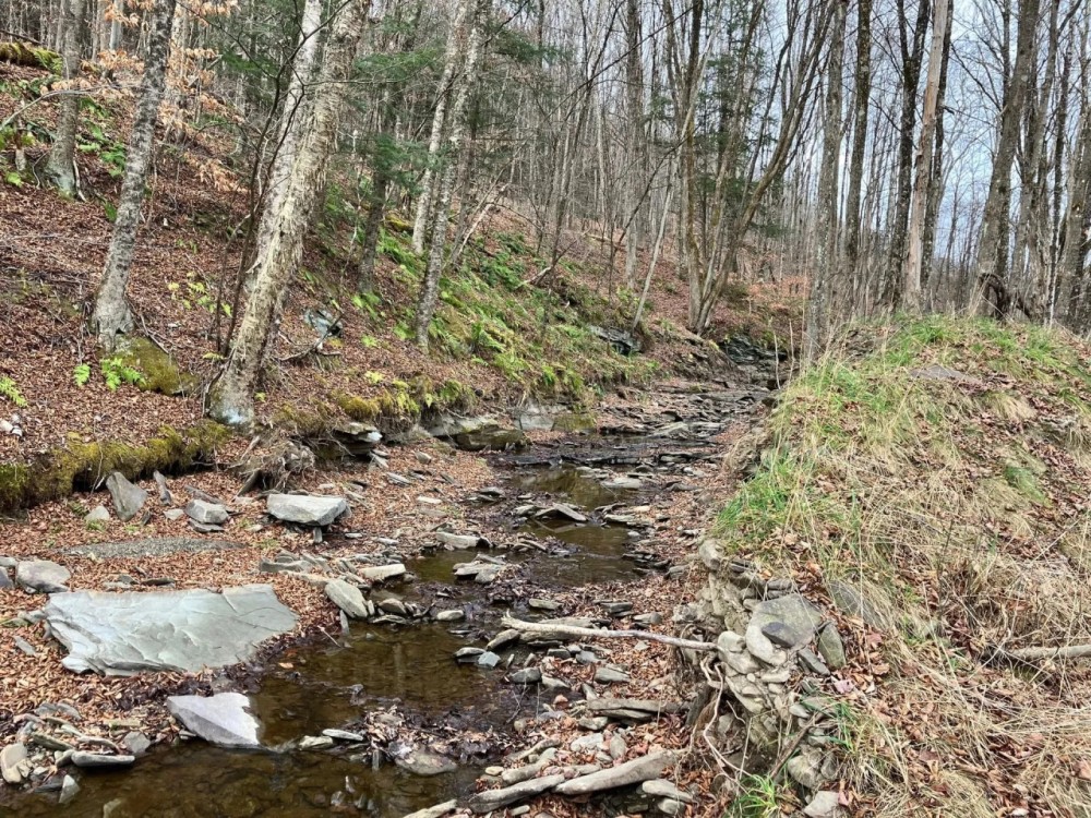 65 acres Hunting Land and Recreational Land with Stream in Deposit NY 645 Big Hollow Rd featured image