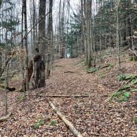 65 acres Hunting Land and Recreational Land with Stream in Deposit NY 645 Big Hollow Rd images 2