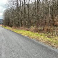 65 acres Hunting Land and Recreational Land with Stream in Deposit NY 645 Big Hollow Rd images 4