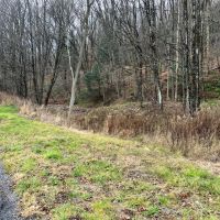 65 acres Hunting Land and Recreational Land with Stream in Deposit NY 645 Big Hollow Rd images 5