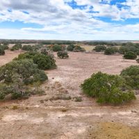 POTEET Tract 7 11 Acres Only 15K Down images 3