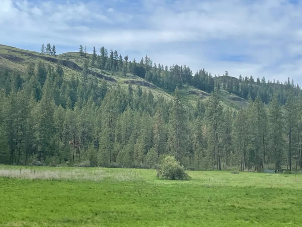 Welch Creek Road featured image