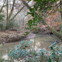 281.90 Acres in Amite County MS