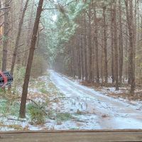 281.90 Acres in Amite County MS images 4