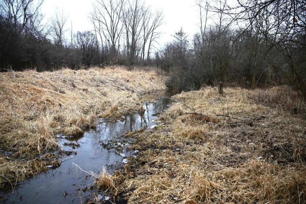 Hunting land in Michigan Jackson County featured image