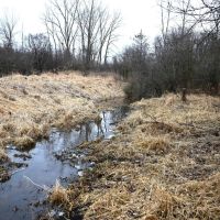 Hunting land in Michigan Jackson County