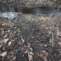 Hunting land in Michigan Jackson County images 3