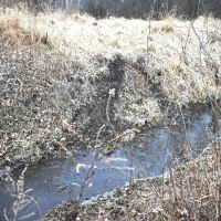 Hunting land in Michigan Jackson County images 4