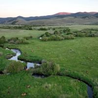 Elk Flats on Tomichi Creek