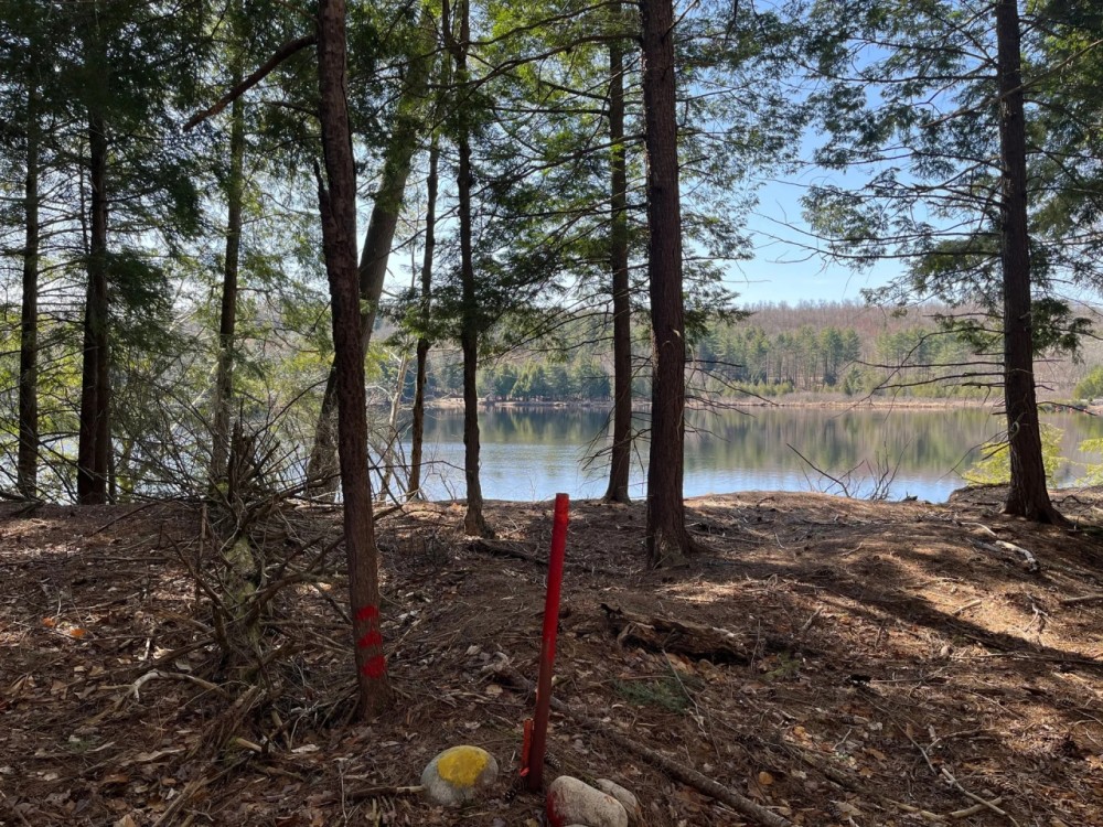 60 acre Hunting Land with River Views Lyonsdale NY featured image