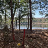 60 acre Hunting Land with River Views Lyonsdale NY