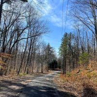 60 acre Hunting Land with River Views Lyonsdale NY images 2