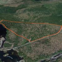 60 acre Hunting Land with River Views Lyonsdale NY images 4