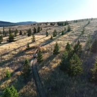 Fire Tower Ranch images 4