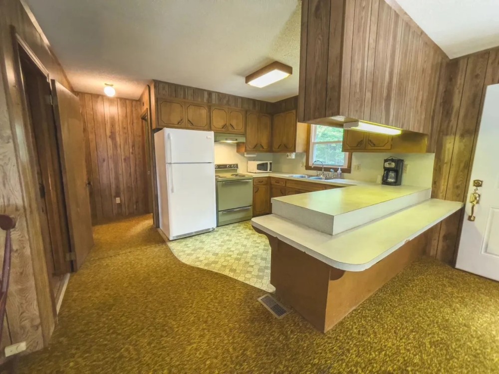 North Carolina Land and Cabin For Sale At Auction featured image