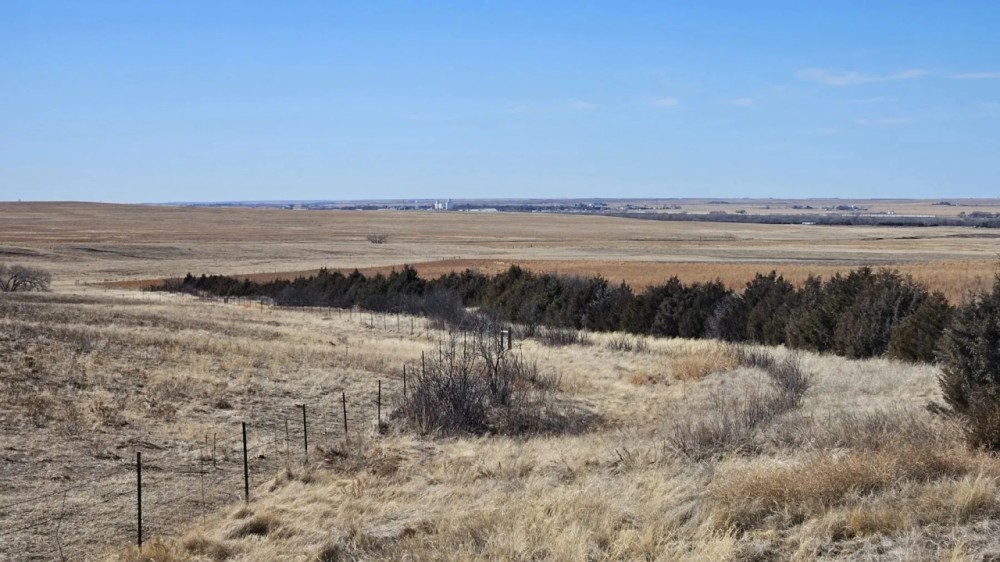 Sedgwick County CRP-Grass featured image